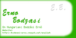 erno bodzasi business card